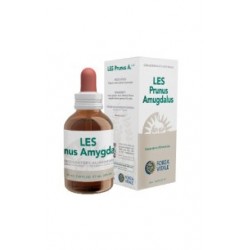 Forza Vitale Italia Les...