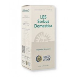 Forza Vitale Italia Les...