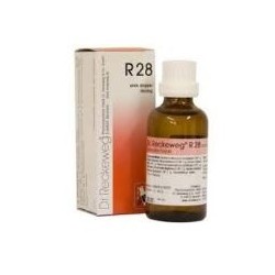 Dr. Reckeweg & Co. Gmbh...