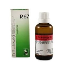 Dr. Reckeweg & Co. Gmbh...