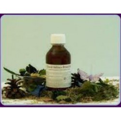 Alkaest Quintessenza Qe6...