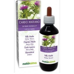 Sarandrea Marco &c. Cardo...