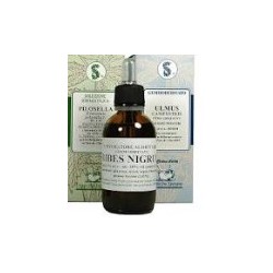 Sarandrea Marco &c. Luppolo...