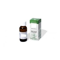 Sarandrea Marco &c....