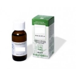 Sarandrea Marco &c. Viola...