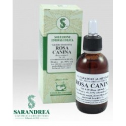 Sarandrea Marco &c. Rosa...