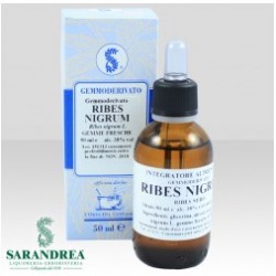 Sarandrea Marco &c. Ribes...