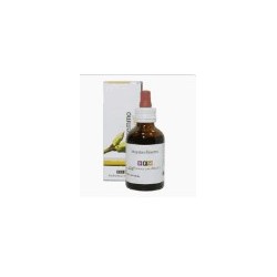 Sarandrea Marco &c. Rubus...