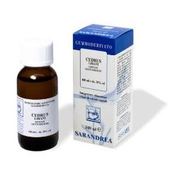 Sarandrea Marco &c. Cedrus...