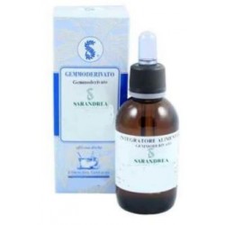 Sarandrea Marco &c. Juglans...