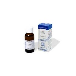 Sarandrea Marco &c. Pinus...