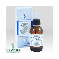 Sarandrea Marco &c. Sequoia...