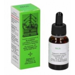 Alkaest Mgs23 Carpino...