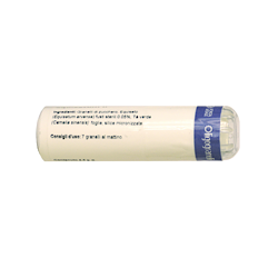 Forza Vitale Italia...