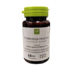 Oti Officine Terapie...