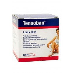 Essity Italy Salvapelle...