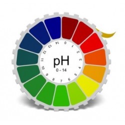 Biemmefarma Cartina...