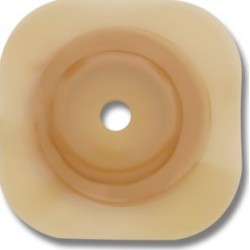 Hollister Conform 2 Placca...