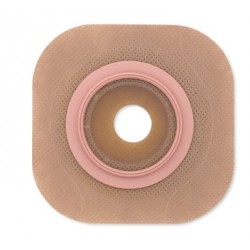 Hollister Conform 2 Placca...