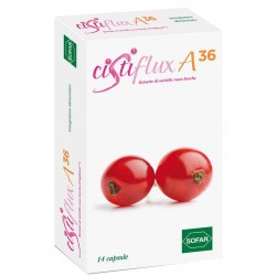 Sofar Cistiflux A 36 14...
