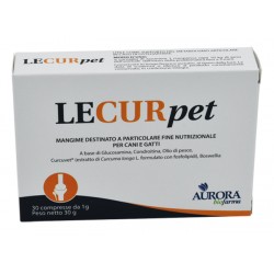 Aurora Licensing Lecurpet...