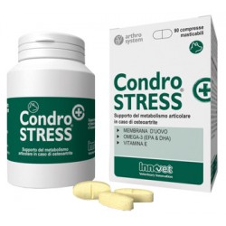 Innovet Italia Condrostress...