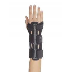 F. G. P. Polsiera Steccata...