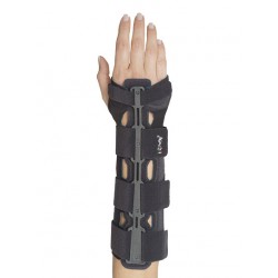 F. G. P. Polsiera Steccata...