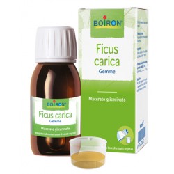 Boiron Ficus Carica Gemme...
