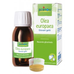 Boiron Olea Europaea...