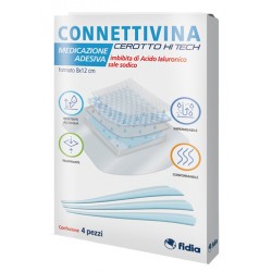 Fidia Farmaceutici Cerotto...