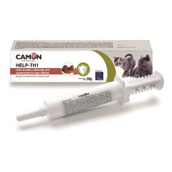 Camon Help-th1 Pasta...