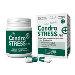 Innovet Italia Condrostress...