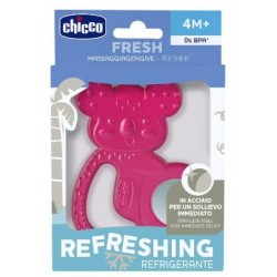 Chicco Massaggia Inox Girl 4m+