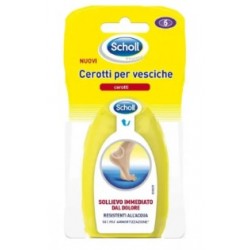 Scholl's Wellness Company...