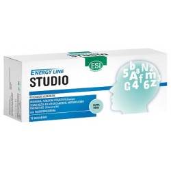 Esi Energy Line Studio 12...