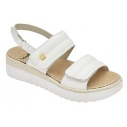 Scholl Shoes Camaiore...