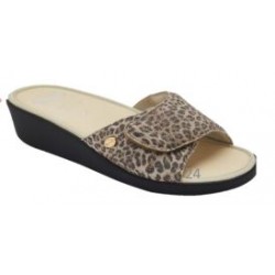 Scholl Shoes Ledel...