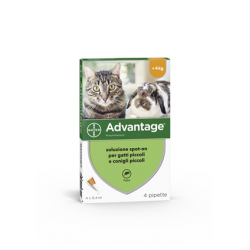 Elanco Italia Advantage 40...