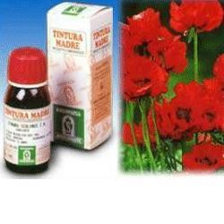 Specchiasol Papavero...