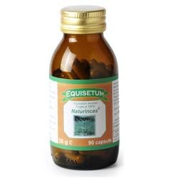 Naturincas Equisetum 90...