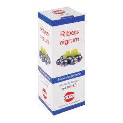 Kos Ribes Nigrum Mg 100 Ml...