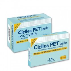 N. B. F. Lanes Ciellea Pet...