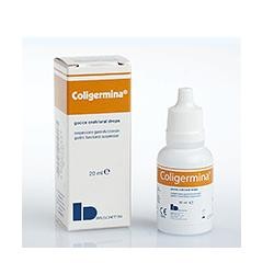 Bruschettini Coligermina...