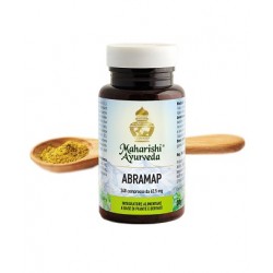 Map Italia Abramap 240...