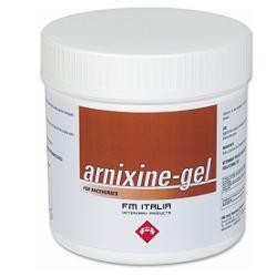 Confezione da 750ml di Gel con Arnica Arnixine Fm Italia