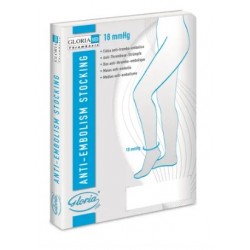 Gloria Med Gloriamed...