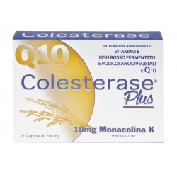 Astuccio da 30 capsule di Colesterase Plus di Wp Corporate