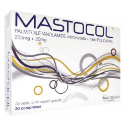 Epitech Group Mastocol...