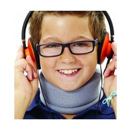 Dual Sanitaly Soc. Benefit...